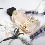 Saint Laurent Libre